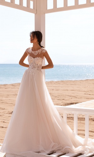 234-lynette-1